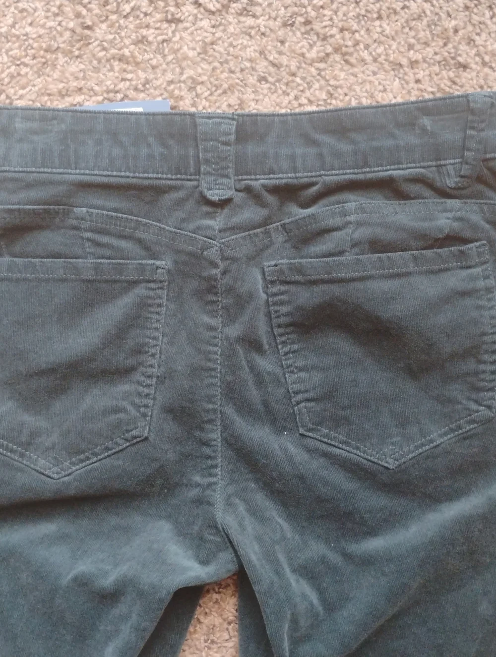 New with tags Democracy Absolution Corduroy Pants 8P Deep Forest Green